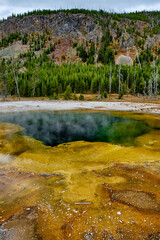 Yellowstone National Park in Wyoming