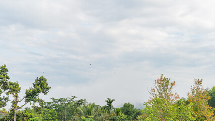 Mountain range with visible silhouettes through the morning colorful fog, Bright and enjoy your eye with the sky refreshing in Phuket Thailand.