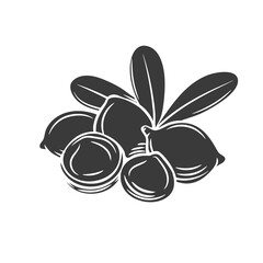 Macadamia glyph icon