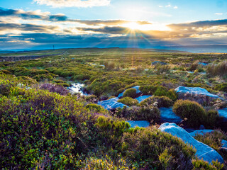 Naklejka premium Ilkley Moor