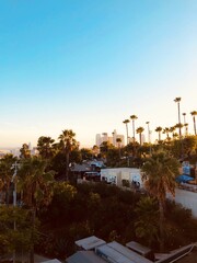 Beautiful Los Angeles