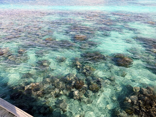 Top view of the sea with the coral reefs at Maldives island.