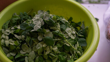 raw moringa leaves