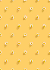 Fresh, white daisies on yellow background. Beautiful flower seamless pattern. Closeup.