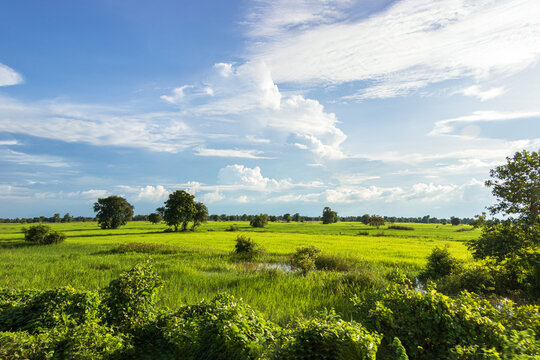 Cambodia Kambodscha Natur Raw