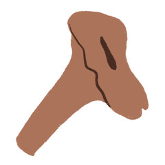 Drawing of chanterelle mushroom on a white background. Fall.