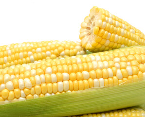 Corn on a white background