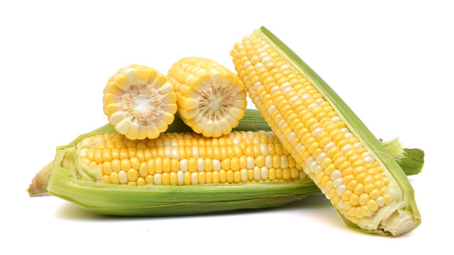 Corn on a white background
