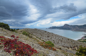 Landscape on the slope of Mount Alchak on the Black Sea coast in September, eastern Crimea, the city of Sudak. A dark red shrub on rocky ground. Rain clouds in the sky.