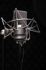 Close-up of a Neumann TLM 102 studio recording microphone