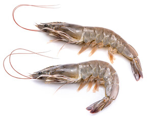 Banana prawn or shrimp isolated on white background, White shrimp isolated on white background