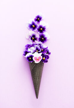 Healthy life concept. Edible flowers pansies viola in a waffle cone on lilac background, Flat lay
