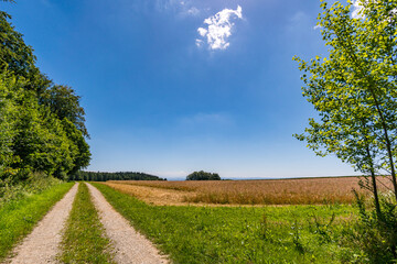 Fototapeta na wymiar Along the panorama path in Heiligenberg