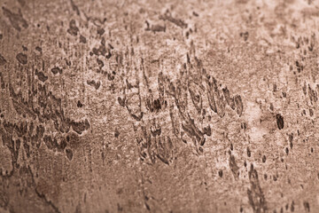 warm brown chocolate background from water-based building plaster