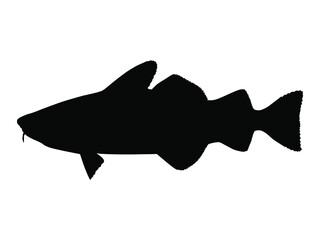 Atlantic Cod silhouette. Vector illustration.