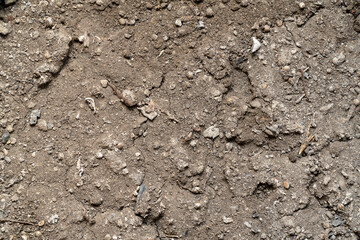 Garden soil texture background, close up