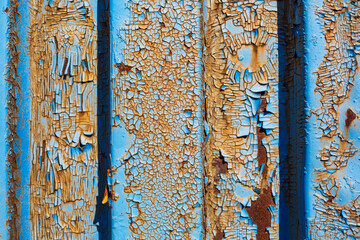 Texture of old rusty corrugated metal surface with peeling blue paint. Perfect for background and grunge design.