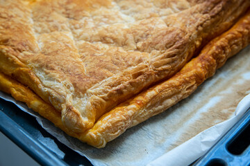 Homemade, flaky pastry empanada with meat baken in at home. Empty copy space for Editor's text.