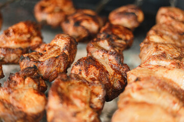 grilled meat on the grill