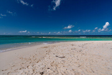 tropical beach with palm trees