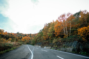 Beautiful view of colorful autumn on mountain road at Towada-Hachimantai park , Goshogake nature trail, Hachimantai visitor center.