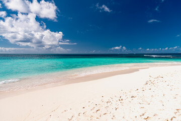 Obraz premium tropical beach with palm trees