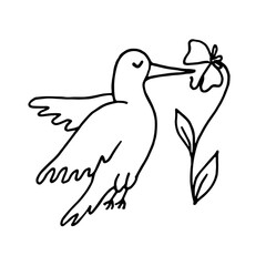 Hand drawn doodle little hummingbird flying around flower. Vector illustration isolated on white