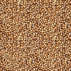 Seamless pattern of the dried coriander seed. Close-up. Top view.