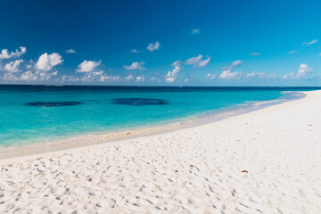 tropical beach with palm trees