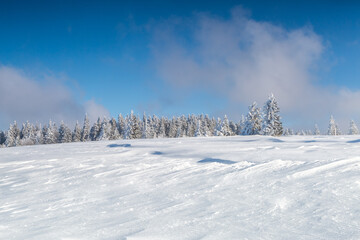 Winter landscape, mountaintop and trees