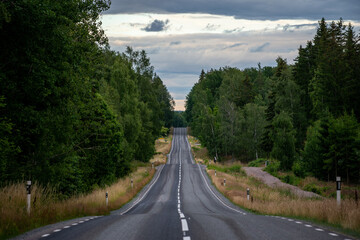 straight road in forest 