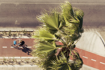 Top view on the bicycle lane palm tree and retro car. Instagram toned.