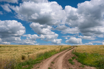 beautiful summer landscape with massive white clouds and a road in a wheat field on a Sunny day