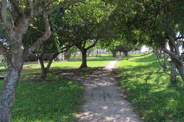 alley in the park