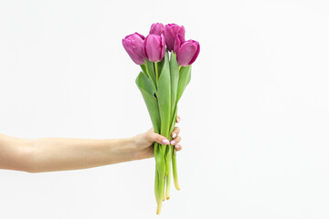 Woman hand with manicure holding a bunch of pink tulips on white background.