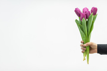 Man's hand with tulip bouquet, over white background. Gift on 8 march, international womens day