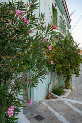 Fototapeta na wymiar Small street with sea background and green plant. Dreamy with little balconys