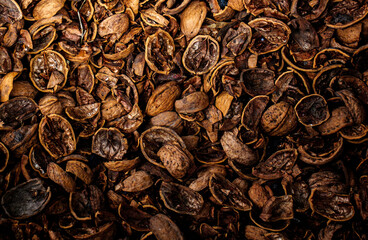Walnut shells as a background 