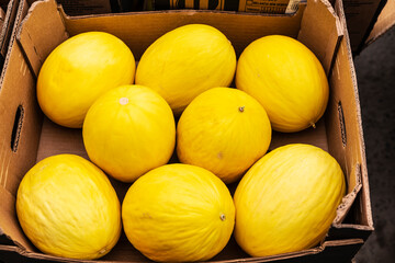 Box of yellow melons in Dublin, Ireland