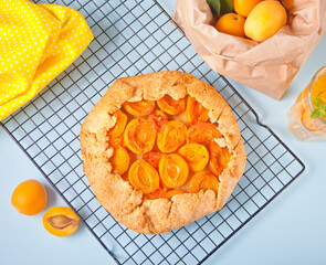 Galette tart pie with fresh ripe apricot