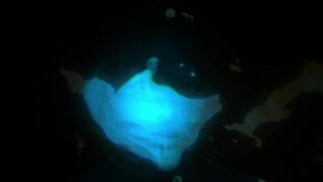 Portrait woman with scared face in blue light, panic in her eyes, effect burnt film. Girl looks at camera and screams