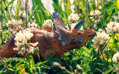 Triceratops in the grass sniffing a flower
