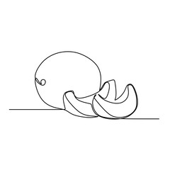 Continuous one line drawing of Honeydew melon. Vector illustration