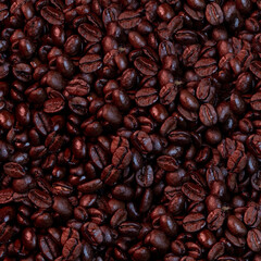 Close-up of coffee beans