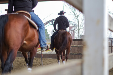 Cavallo con cowboy visti da dietro