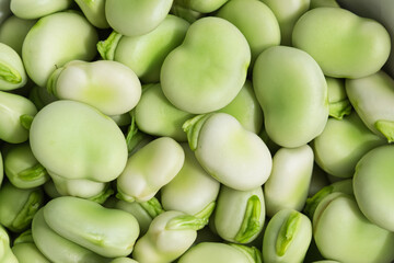 Broad beans close up, green, raw and fresh  shelled fava beans and seed pods full frame natural background 