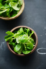 Green lettuce salad