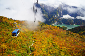 秋の紅葉と立山黒部アルペンルート・大観峰と立山ロープウェイ