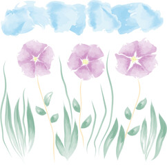 This photo shows three cornflower flowers of blue color 