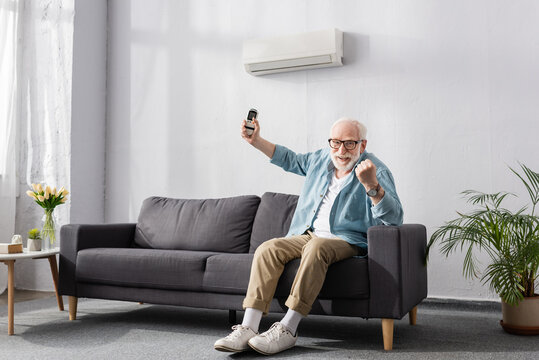 Smiling elderly man showing yes gesture at camera and holding remote controller of air conditioner on couch